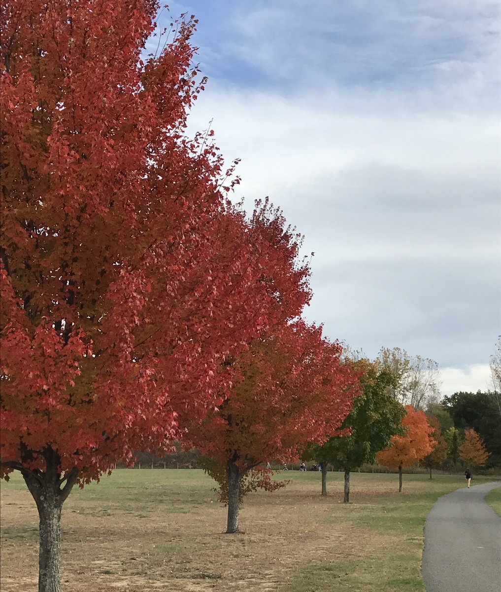 _HealthPrograms's tweet image. Happy Thanksgiving!🍁