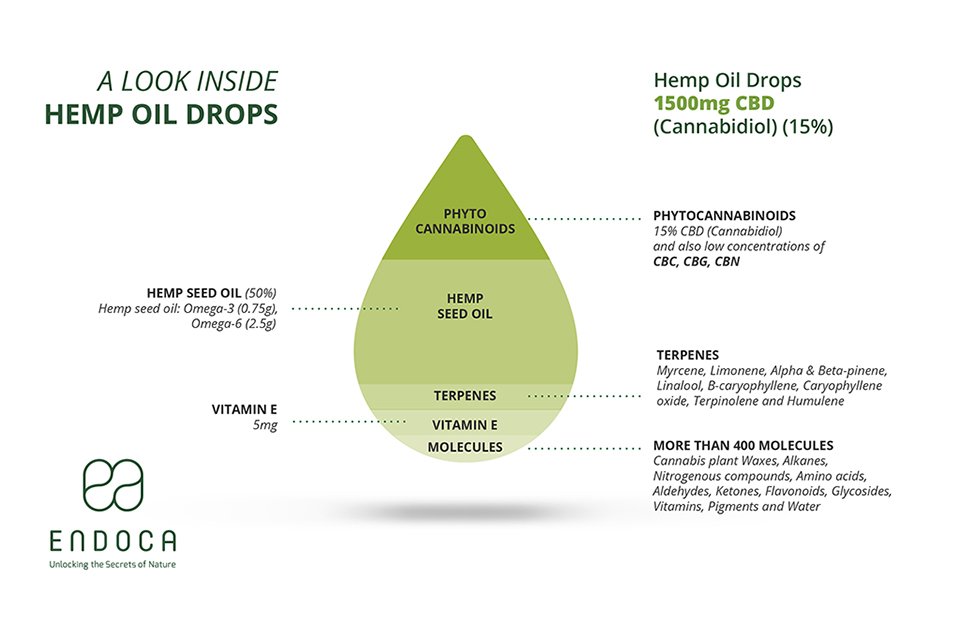 EndocaCBDOil's tweet photo. Endoca produces #CBDoil that meets the requirements of a THC percent of less than 0.2%. But what is #CBD and what is #THC? Read more here: https://t.co/ri9q1aw76S https://t.co/YJnytHLVv1