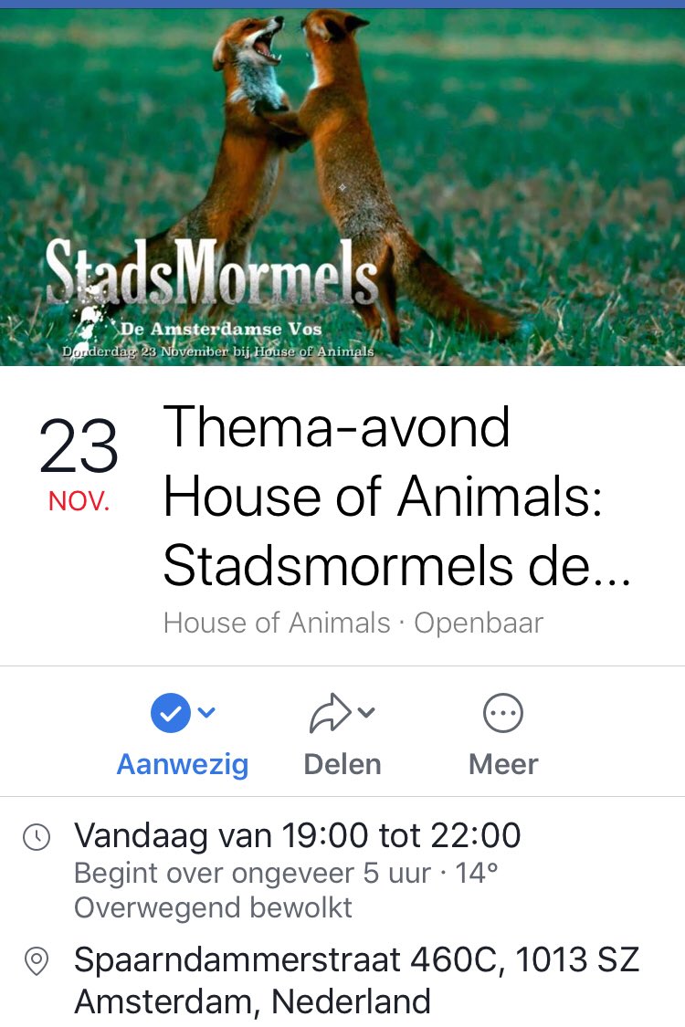 XandraAs's tweet photo. Heerlijk avondje wat mij betreft al gekomen: #stadsmormels aflevering #vossen gezien bij #HouseOfAnimals @AnimalsToday_nl ππ¦ https://t.co/wUBO3ZIUAy