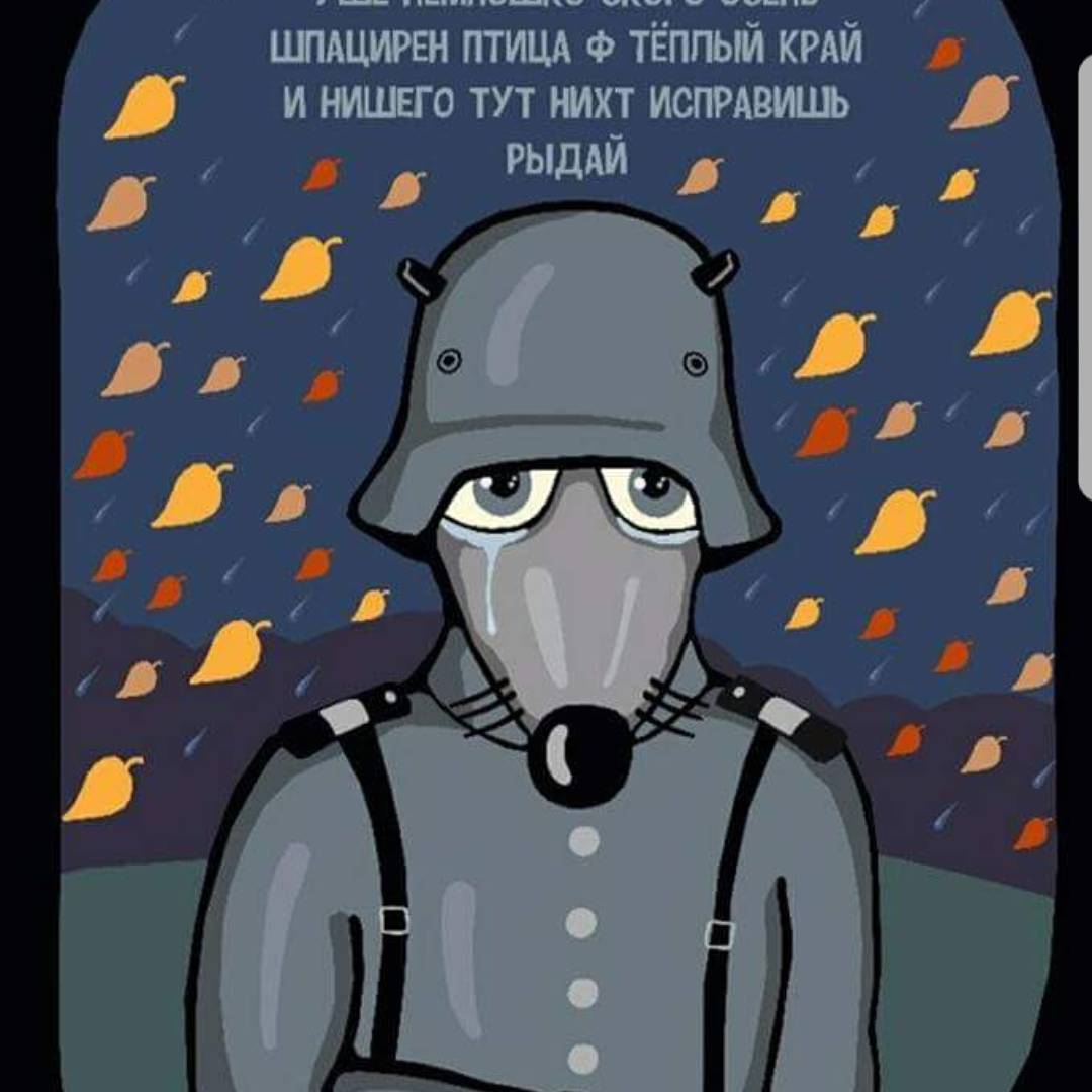 Soba4ki календарь. Календарен soba4ki 2021. Го дансен их виль нихт. Собачки календарен. Календарен soba4ki 2022.