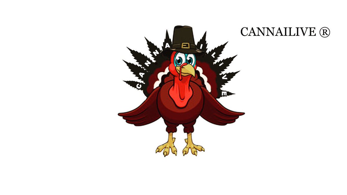 CANNAILIVE's tweet photo. Happy Thanksgiving!🦃Thank you for your support and for following our brand. Im thankful for cannabis it gave me the best health since 2015. For those who dont judge mmj and for the new generation of leaders that cannabis will produce, #thebest #cannailive #medicate #danksgiving https://t.co/4iTmAWpNq0
