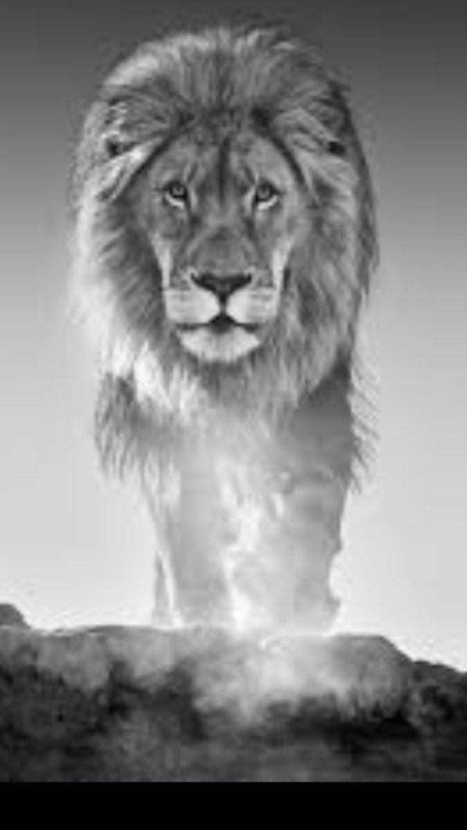 wilson_gw's tweet photo. Wow! @David_Yarrow @BAFTA195 with @aardvarksafaris #pinsharp https://t.co/fW3i83LOlJ