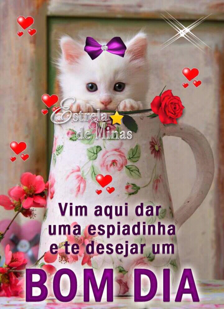 Natália Frutuoso (@nataliafrutuoso) on Twitter photo 