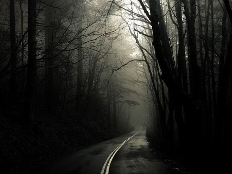 dementiaraecox's tweet photo. #Dark_forest https://t.co/NaCssi3qm9
