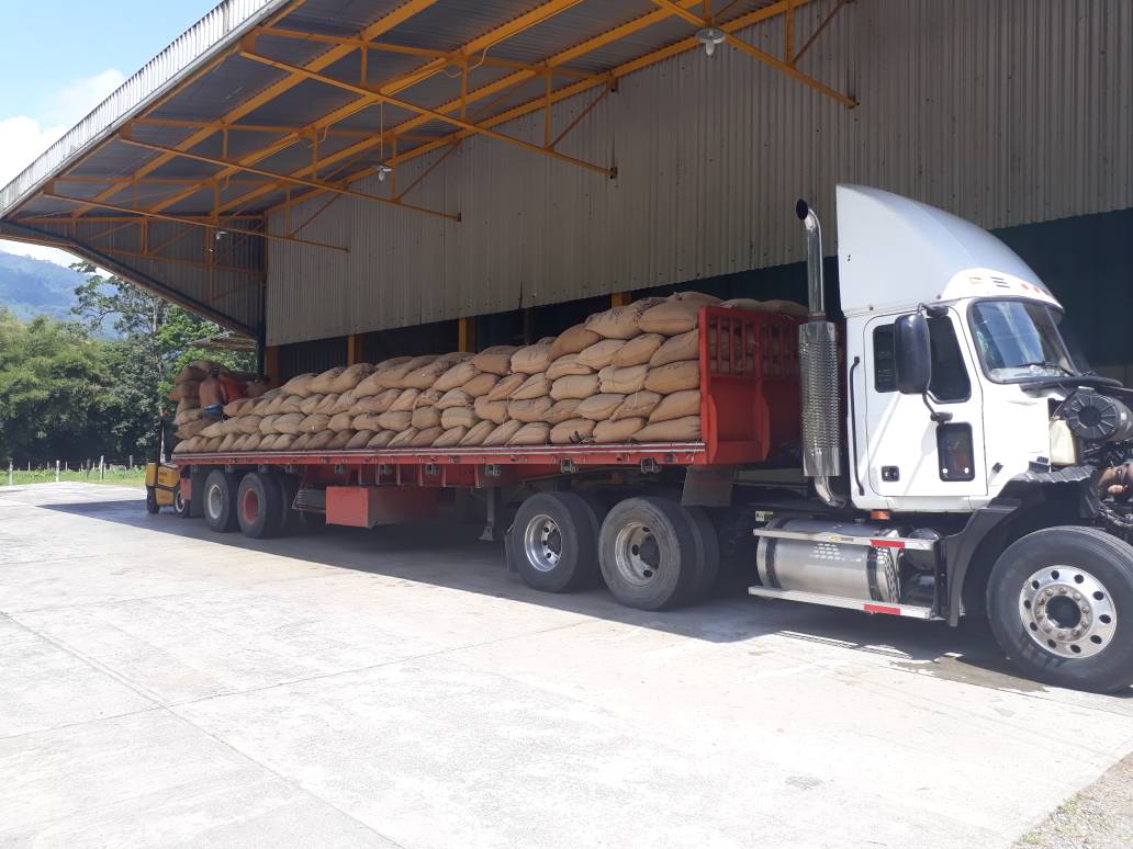 ENCafe_SA's tweet photo. ¡Hoy temprano en el Central Cafetalero Valle Verde se carga otra Gandola con Café Verde para seguir produciendo en nuestra planta y abastecer al pueblo venezolano! #23Nov #VenezuelaProductiva #CaféYRevolución https://t.co/dwEncC03F8