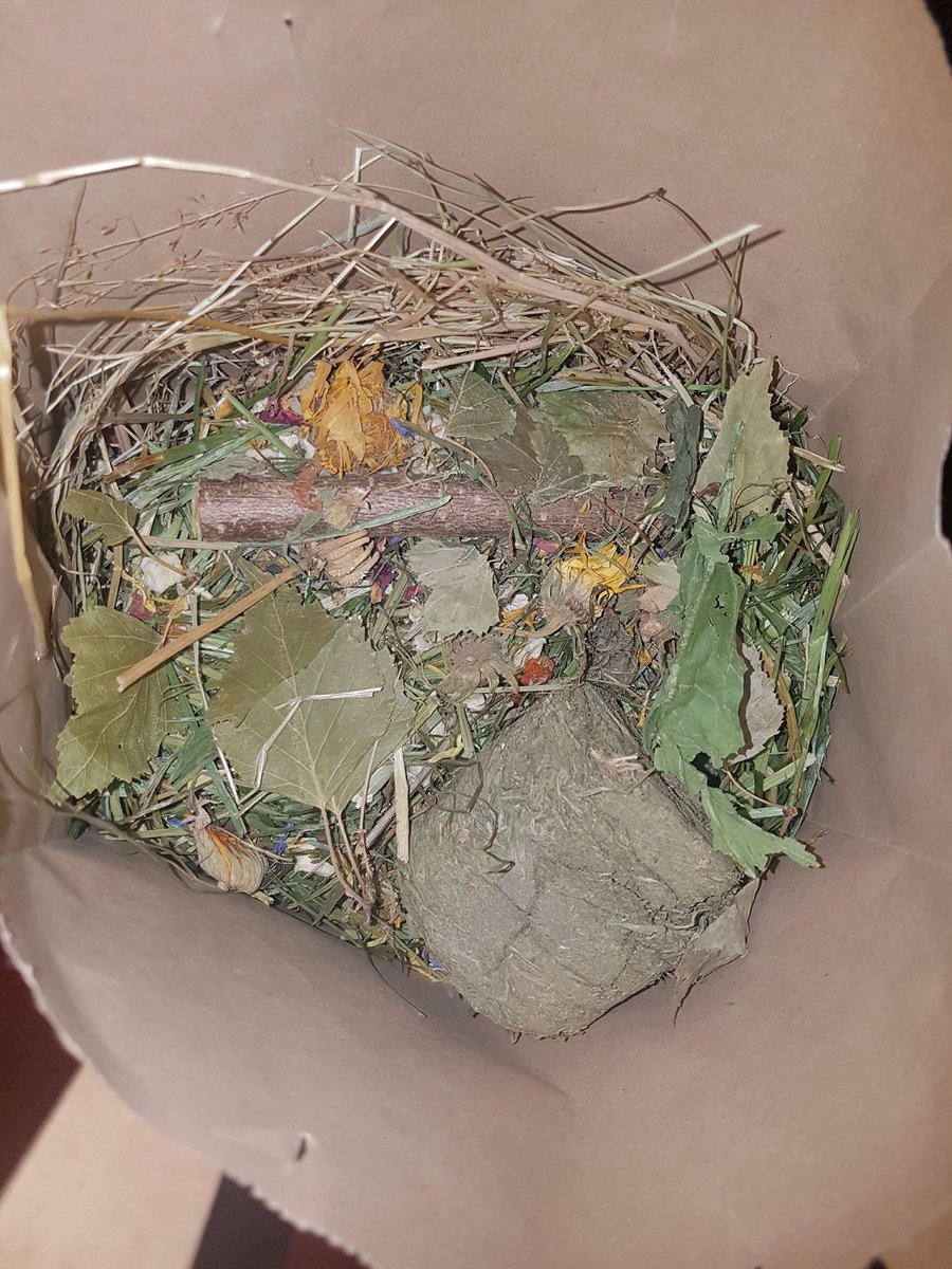 windmillfarm88's tweet photo. Rabbits and guinea pigs diy brown bag christmas presents ready 🤗🐰🐹 https://t.co/XjcMukmqRQ