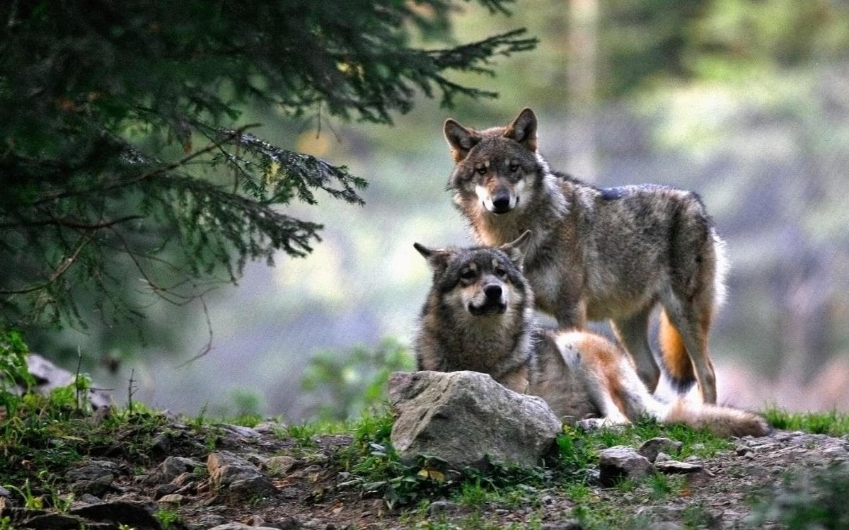 ~Have a nice night my friends~