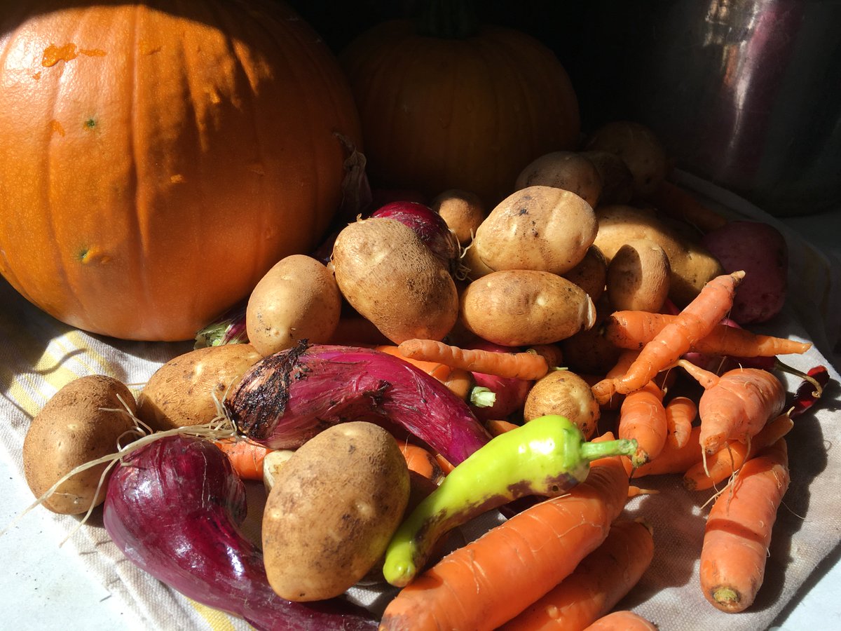 cantonio68's tweet photo. #ThePasHelpingHands #4HMBgivingback veggies for seniors https://t.co/ZptODKdAEW