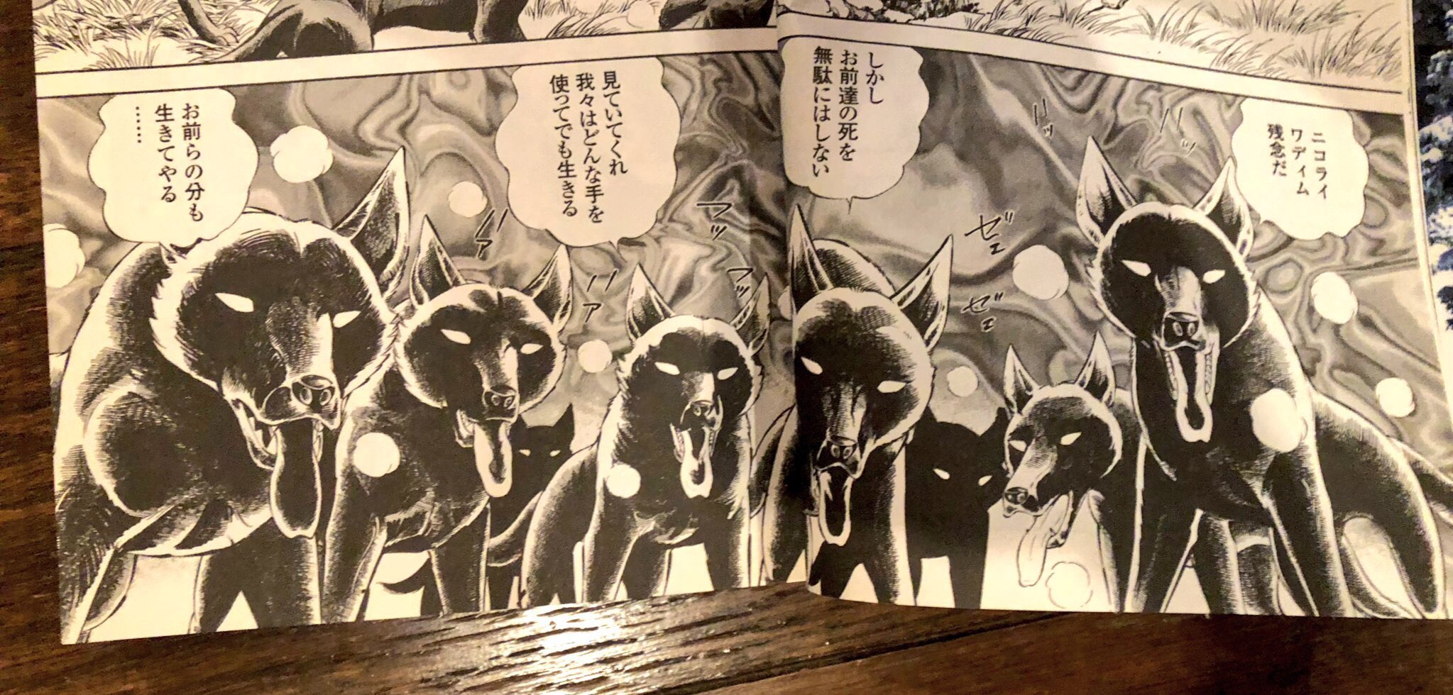 高橋よしひろ先生　手ぬぐい 🌌高橋よしひろ先生新連載🌌銀牙伝説レクイエム🌌 on X: 