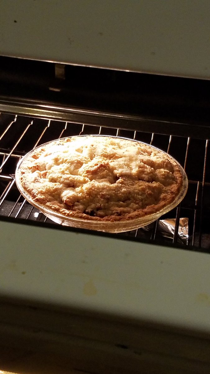 Kurdan_Sourpuss's tweet photo. A thing happened in my oven 😽❤ iunno~ *shrugs and loafs*
#Foodporn #HowDidThisHappen
#ApplePieFromScratch https://t.co/9A3du53pr0