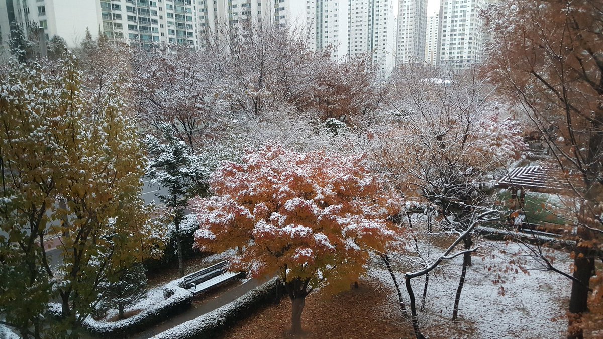 KimsBridge's tweet image. First snow this winter, Seoul.  KIMSBRIDGE.COM