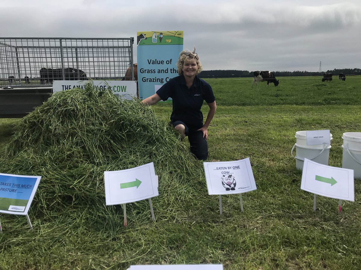 CharlottePGWS's tweet photo. Annual #LUDF open day for schools, showing kids just how much pasture a cow needs to harvest to produce 25L milk/head/day. That pile of pasture ceases to amaze me! @SIDDC_NZ https://t.co/dGCvrrPkZx