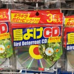 音楽業界激震ｗCDが鳥よけ専用として販売されている!