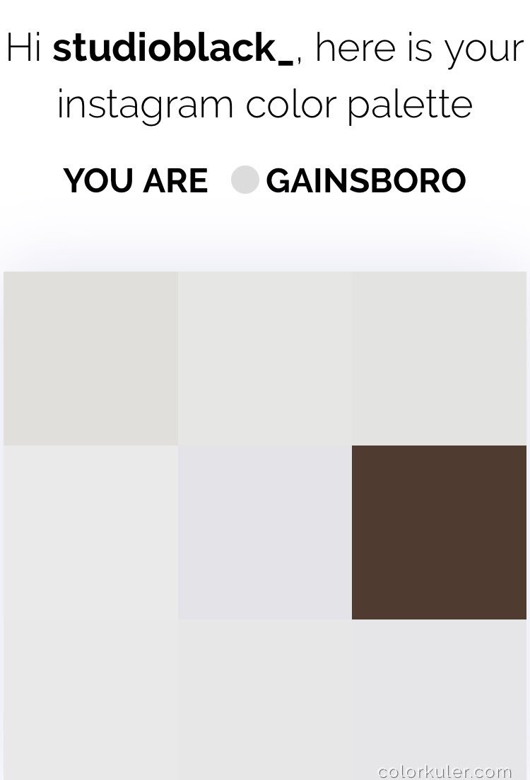 studioBLACK_'s tweet photo. “It’s nice to know that our colour pallet is gainsboro #boring” - the creative director himself #colorkuler https://t.co/QL9gJGsqPx