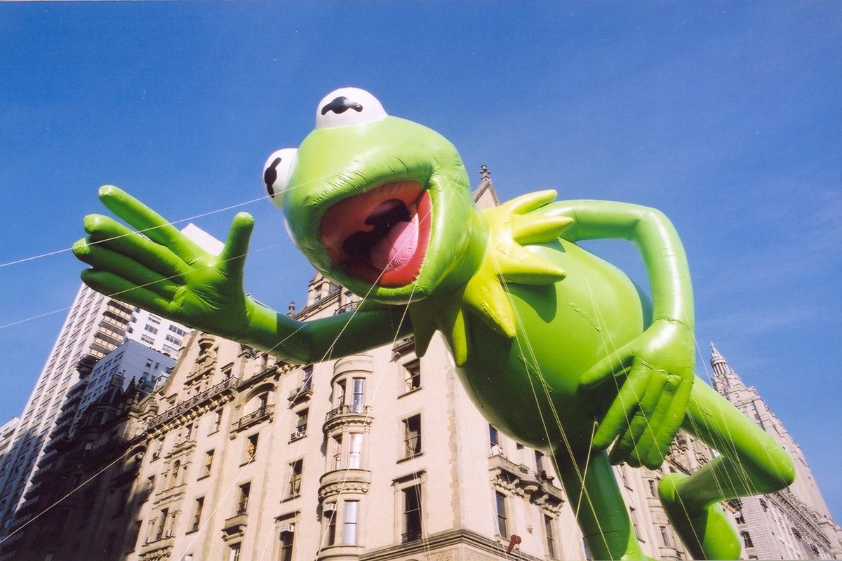 DDenkler's tweet photo. Never thought that Kermit would submit himself to this school of thought #notmymuppet https://t.co/ubpv0I8FD0