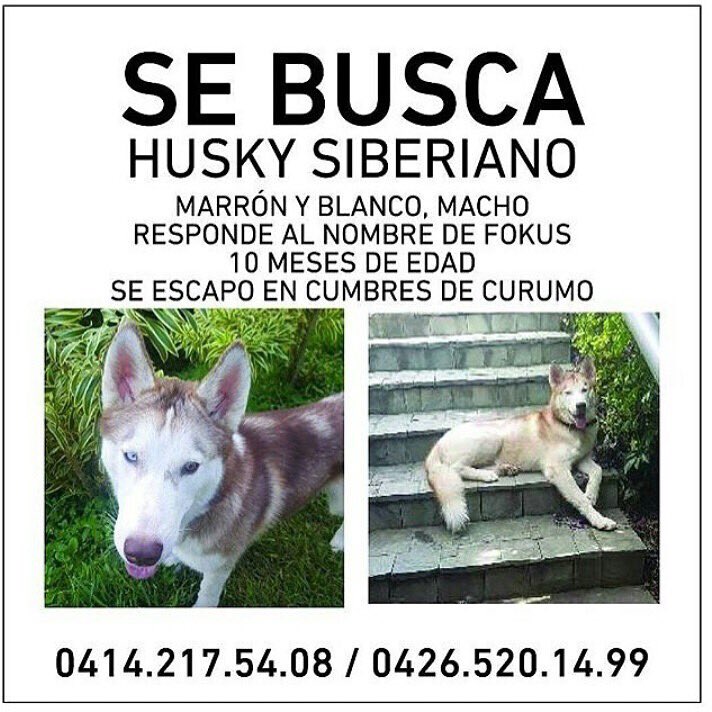 mgj09's tweet photo. Por favor ayuden a difundir! https://t.co/lgaLSTjahb