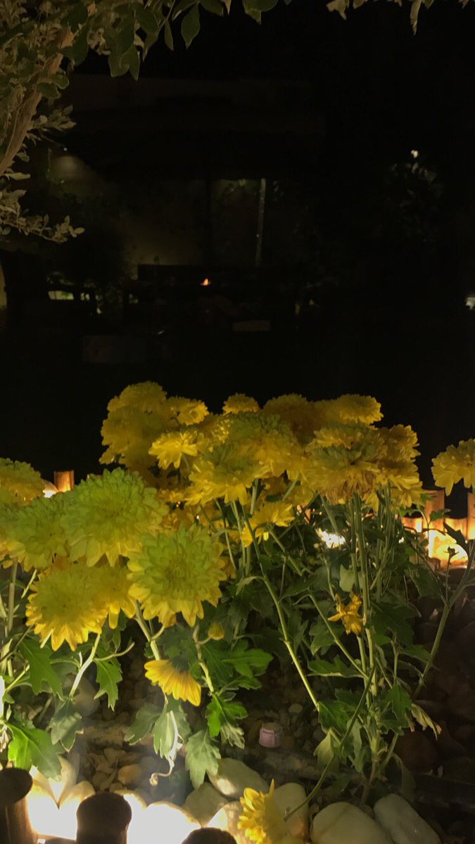 #نسعد بإستقبال حجوزاتكم ✨