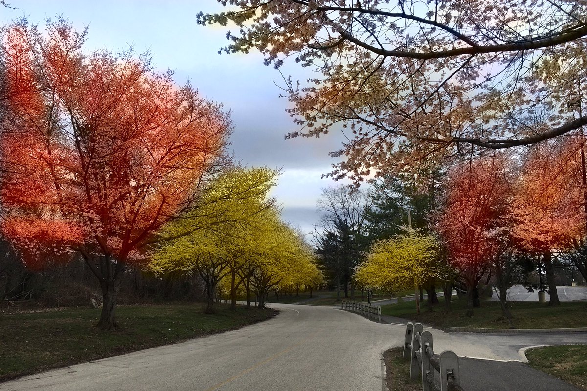 SnowbirdNina's tweet photo. @TheMattBRoberts A safe &amp; happy thanksgiving to all #outlander fans.  #GoodWalks 🦃 https://t.co/MJ7LwBSWEX