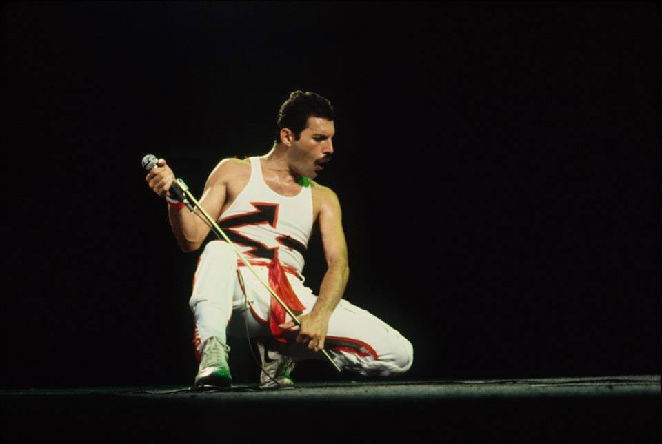 September 5th 1946 - November 24th 1991
#freddiemercury