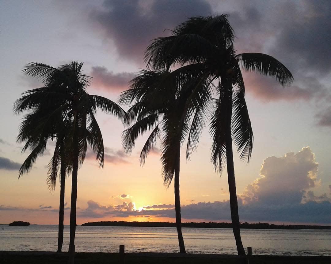 We hope your Thanksgiving was full of relaxation and beauty! #HappyThanksgiving 

📷: stacynicolleartist