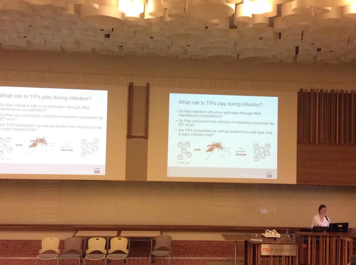 DrHannaSidjabat's tweet photo. Great talks and panel discussion on #dengue #SynBio #superbugs #uropathogenic E. coli #meningococcus #pili #bacteriphage🔬🔬🔬🔬❤️ Four speakers ❤️ Three universities in Brisbane in #infectious disease &amp; #superbugs session #BLiSSecr17 @BLiSS_2017 https://t.co/fgi9RQmB51
