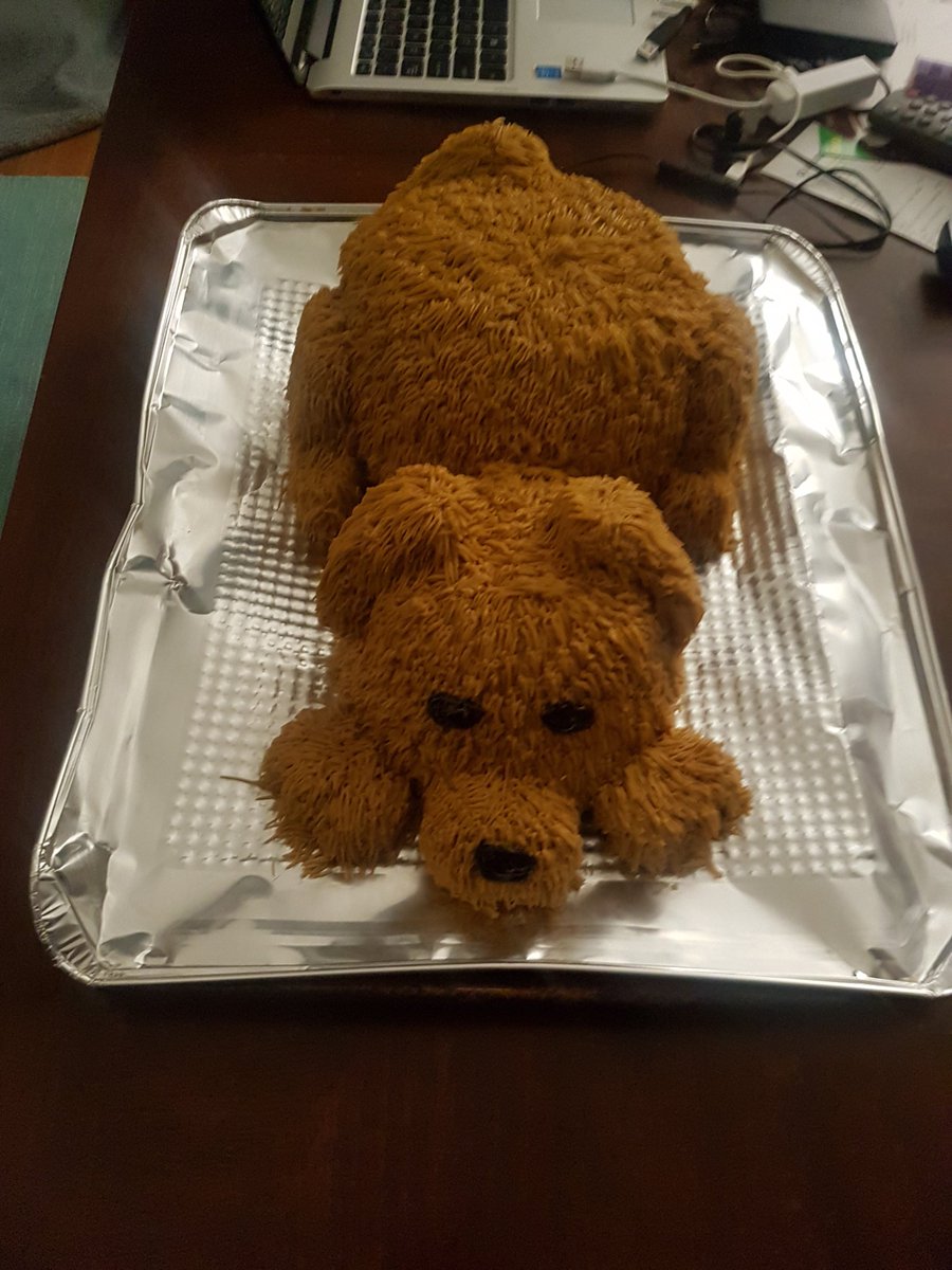 kat_walker_'s tweet photo. Because my parents won't actually get me a golden retriever named butterball https://t.co/SlicMbEqB7