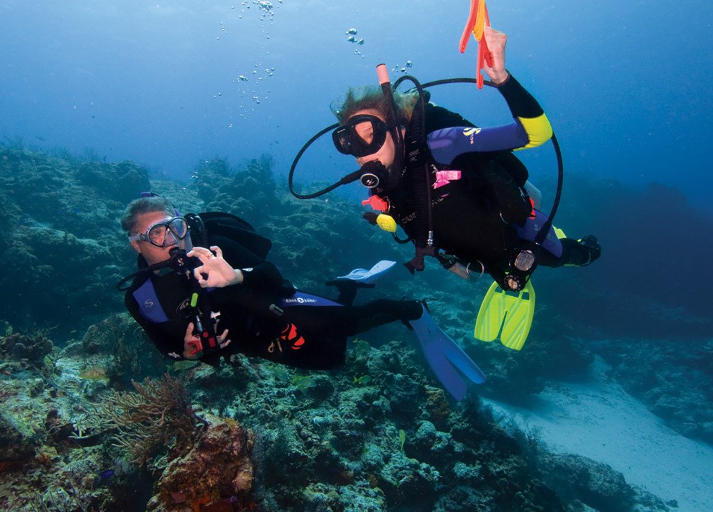 CuriousHimachal's tweet photo. Andaman Scuba Making a plunge Havelock
click Here ... https://t.co/4A5vQqBUWC
#ZimbabweLions #Andeman #AndemanTour #AndemanTourism #AndemanTravel #AndemanTrip #travel #India #Nicobar #islands #island #Flamengo #Cowboys #ExNaMTV #IcerdePorSiempre https://t.co/H0ZwLsz0Rn