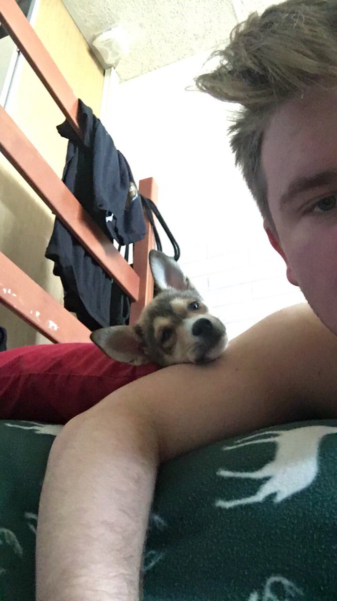 ㊙️㊗️Postman㊗️🉐 tweet media