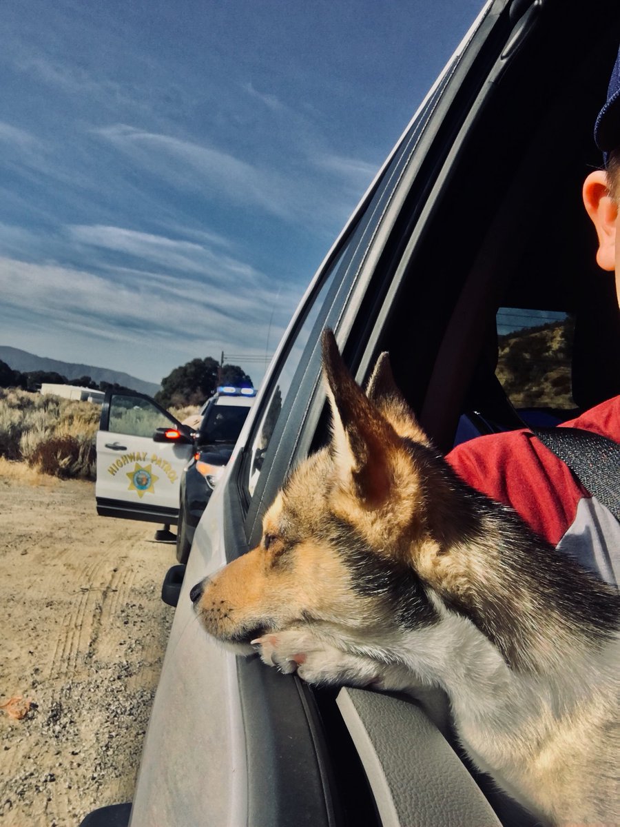 ㊙️㊗️Postman㊗️🉐 tweet media