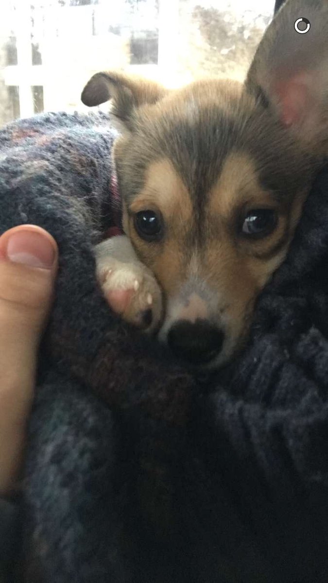 ㊙️㊗️Postman㊗️🉐 tweet media