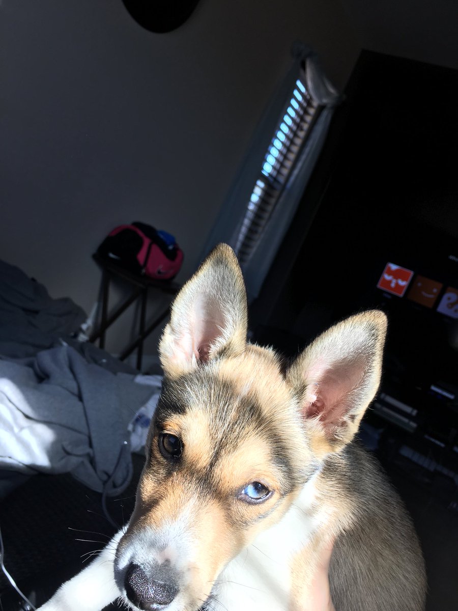 ㊙️㊗️Postman㊗️🉐 tweet media