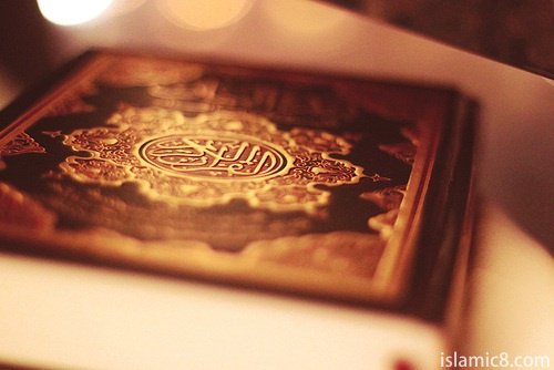 Technobbcom's tweet photo. 100+ Inspirational #QuranQuotes with beautiful images - https://t.co/BoZCZmFfcS https://t.co/R12QaUg1Ou
