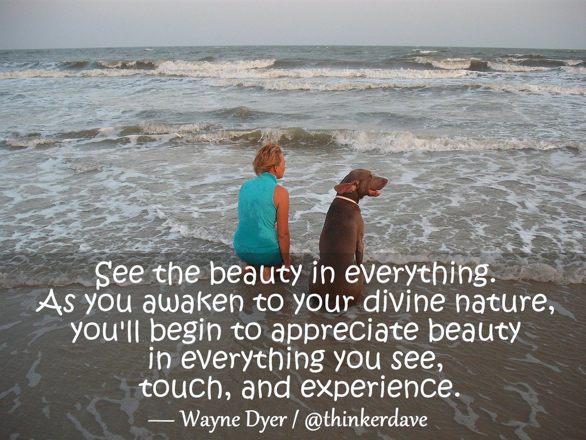 KevinMichael999's tweet photo. See the beauty in everything.

#WayneDyer 

#JoyTrain
#KindnessMatters https://t.co/5PPRj22BUx