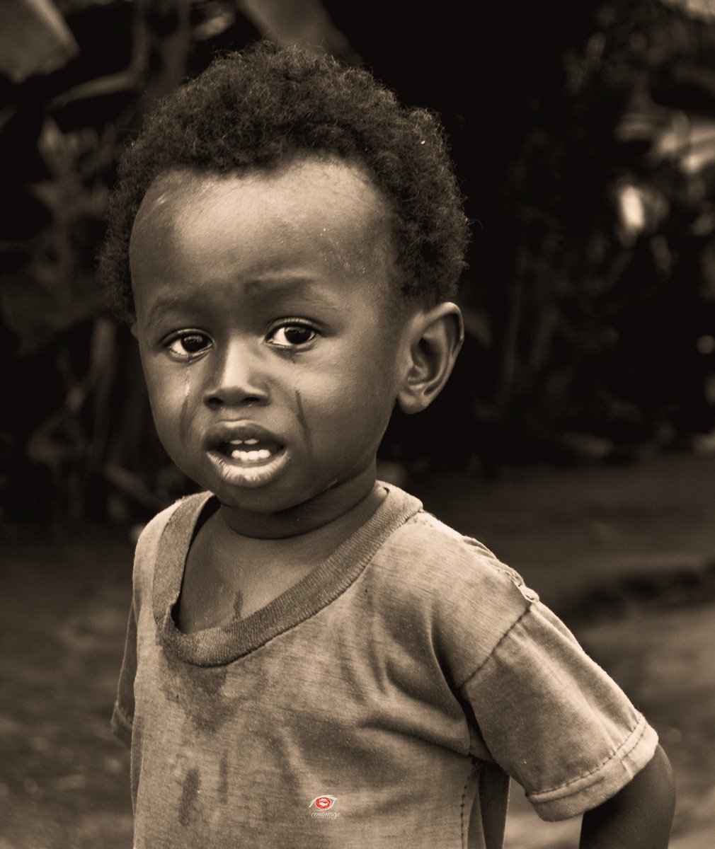 cemstudio's tweet image. The curious cat Vs the voiceless child..