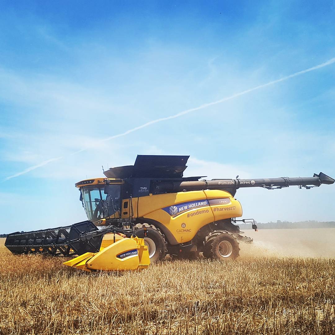 Intersales_cnh's tweet photo. If you have time to stop (we've seen the forecast for next week too 😟) then we'll be doing a bit of this today. 6km nth on Nth Brushwood Rd. Call Ross 0427212140 for more info #ondemo #harvest17 #smashingacres #smashthemfastbeforetherain #directheading #canola #riverinaharvest https://t.co/pPRI7TGLHk