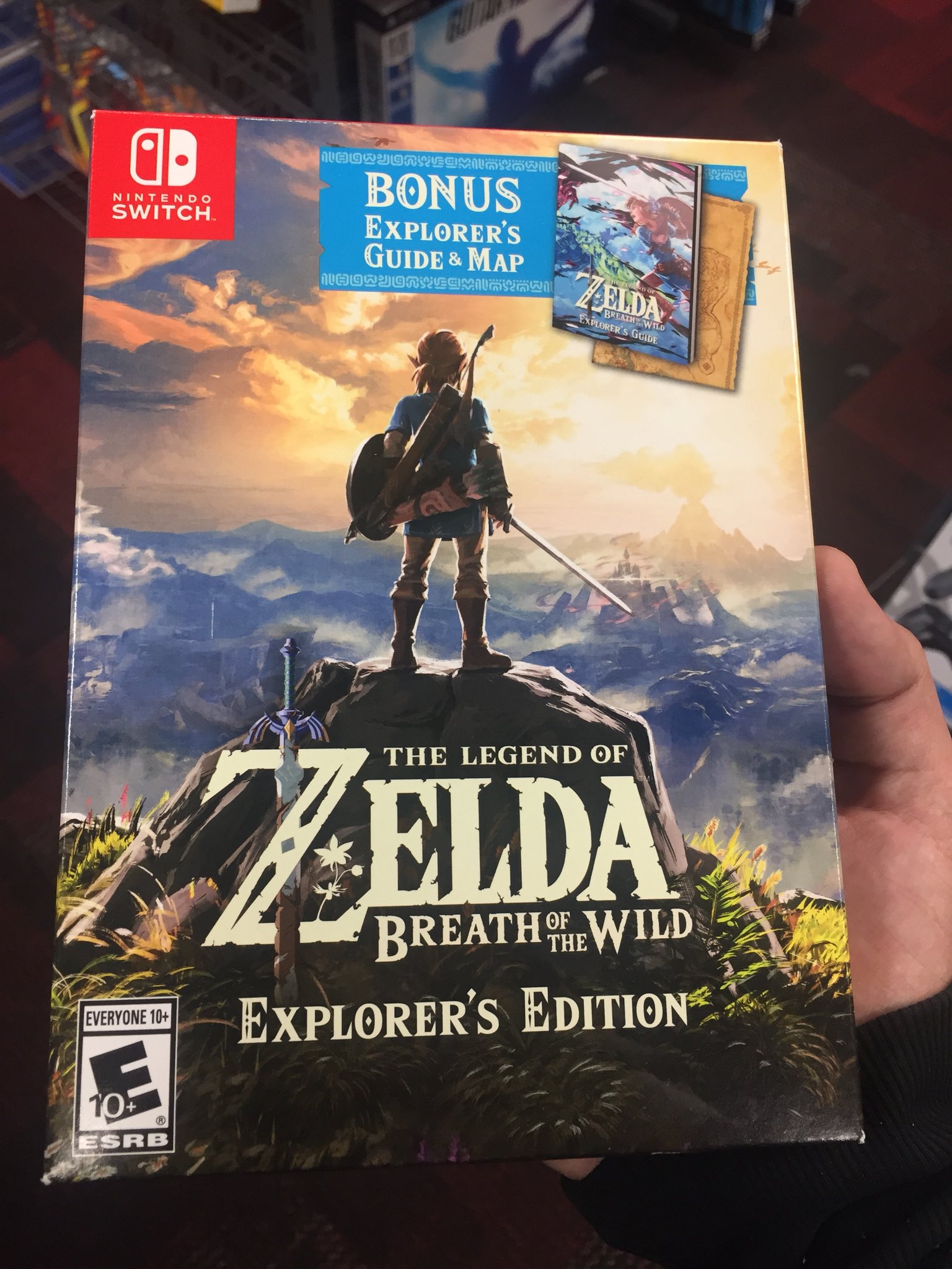 The Legend of Zelda Breath of The Wild Nintendo Switch Game Guide