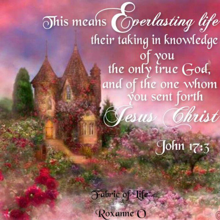 BetsyRose tweet media