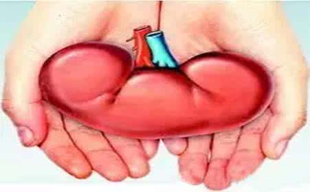 Here  is kidney natural treatment, find the best way to reduce your disease
facebook.com/HandByHandProt…