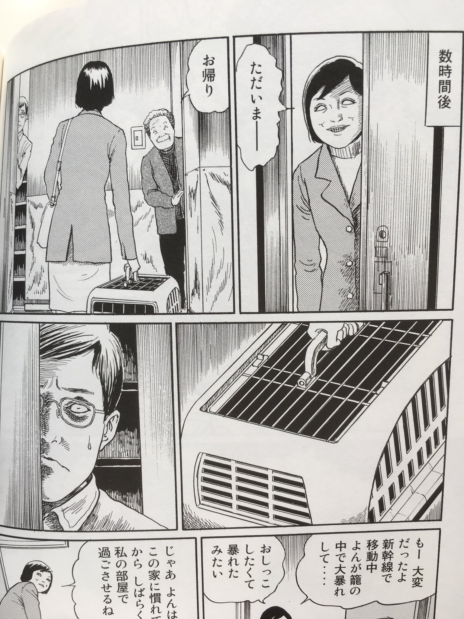 Chatgris 伊藤潤二 の猫日記 よん むー読んだ めちゃくちゃ面白いです 全然怖い話じゃないのに絵がホラーなところも笑えます てんまると家族絵日記 では脇役っぽいjさんの心の内を覗き見たような感じ T Co Zwquqafqrm Twitter