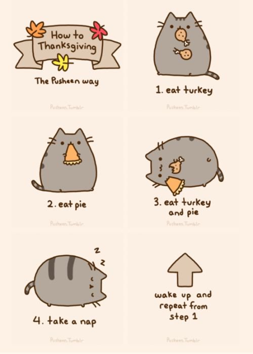 Curlyquet's tweet photo. @wahlacat @RSPCA_official Greetings from the USofA😺it’s Thanksgiving 🦃🍁here and just wanted to give thanks for having such a super sweetheart ❤️🐾❤️🐾❤️🐾😺 I did this! https://t.co/b9ERr9fSF1