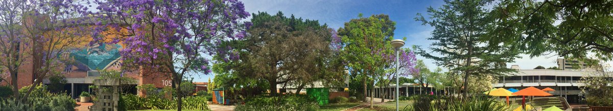 CurtinMedia's tweet photo. It's a beautiful day here at @CurtinUni to celebrate #SnapPerth with @commnewsgroup https://t.co/Q32YNI8cW8