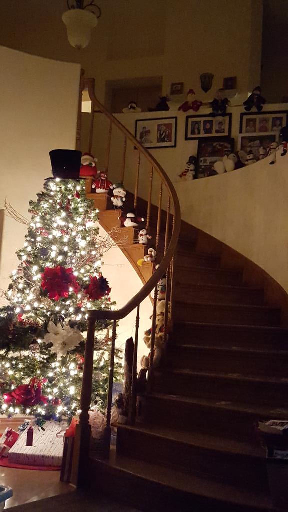 janetdolly's tweet photo. Um. My sister-in-law is ready for Christmas! #noslacker https://t.co/geJuugCKdp