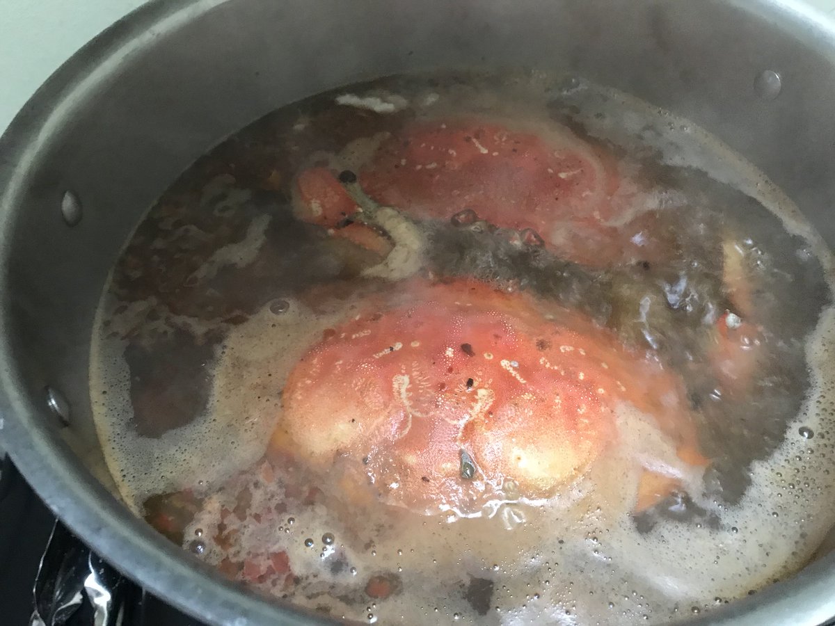 BaitedUp's tweet photo. Went fishing but ended up picking out #big #dungeness #crab walking on the #beach 😂🦀 Got 2 big males and they made a good #appetizers for #dinner #crab #crablegs #crabboil #fish #fishing #crabseason #california #northwest #beach #ocean #fun #awesome #deadliestcatch https://t.co/0bZWxTP4Bc