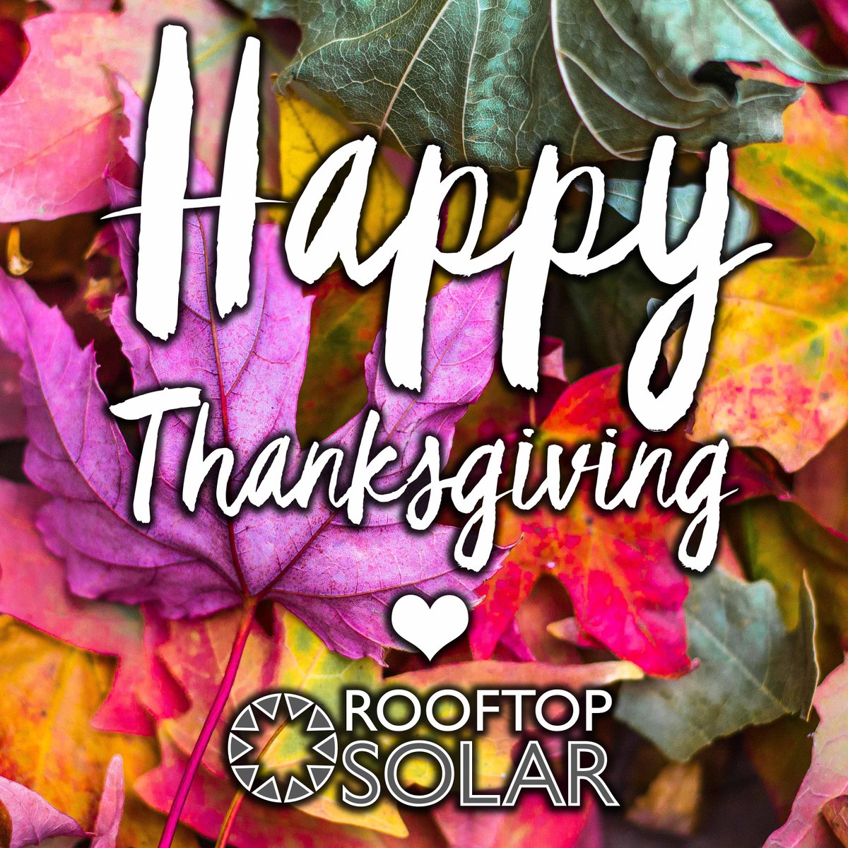 TheRooftopSolar's tweet photo. We hope your Thanksgiving was filled with love, gratitude and lots of dessert! #rooftopsolar #Solar #energy #solarenergy #renewableenergy #Sustainable #savetheplanet #ecofriendly #sustanability #cleanenergy https://t.co/ohdqztH3JK