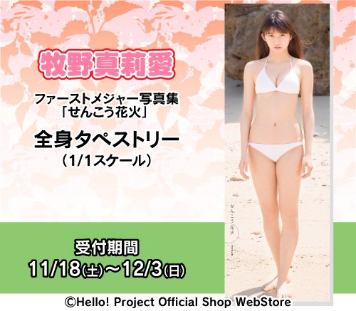 牧野真莉愛 せんこう花火 タペストリー | cair4youth.com