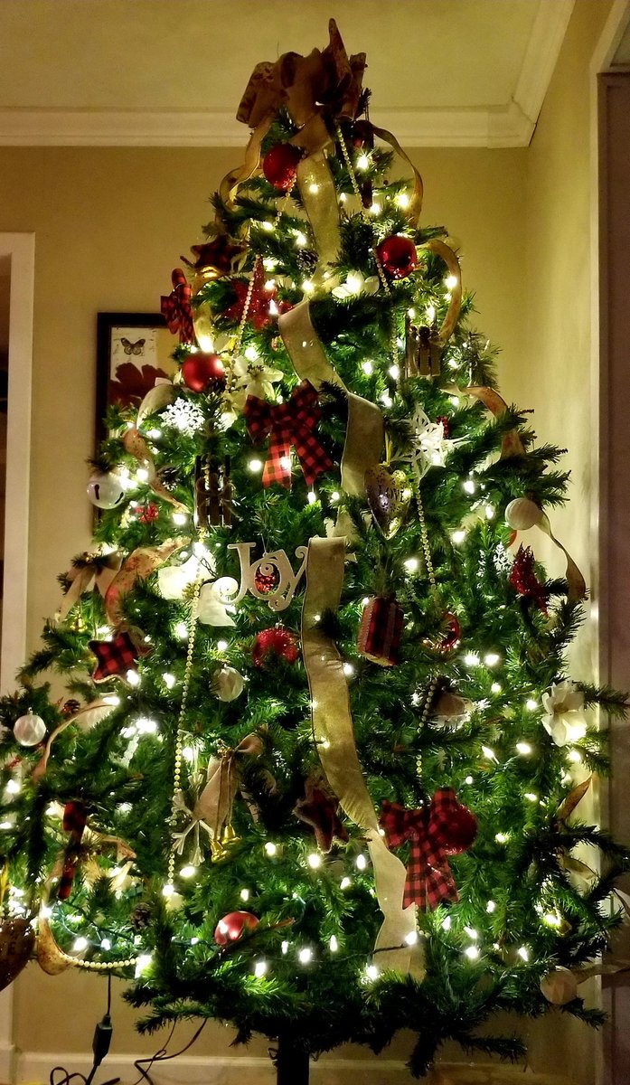 Jasamluver11's tweet photo. Thanksgiving dinner is over... Tree is up...#BringOnSanta https://t.co/nkII3WaPzT