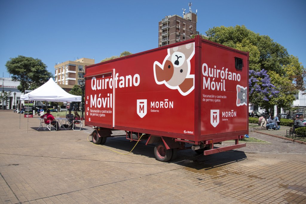 NotiMoron's tweet photo. EN #MORÓN CON EL QUIRÓFANO MÓVIL DE #ZOONOSIS SE TRIPLICÓ LA ATENCIÓN EN LOS BARRIOS https://t.co/BDrk0wEp3w https://t.co/pxrpy7wyh0