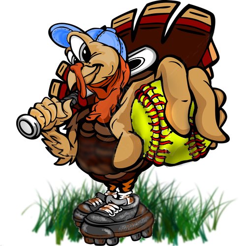 MtStVincentSoftball tweet media
