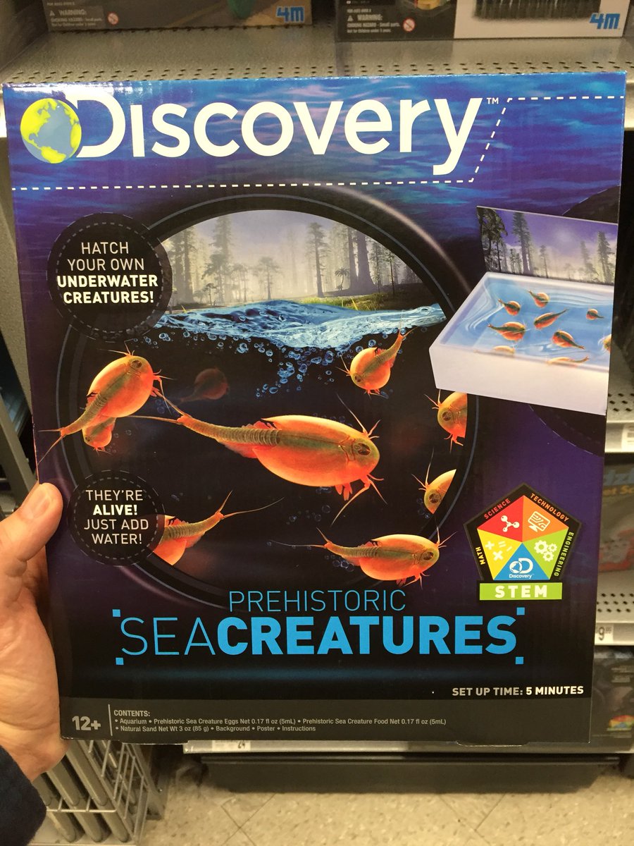 maskedrepublic's tweet image. Just found what I’m getting @Konnan5150 &amp;amp; @TheEdFerrara for Christmas #modernpresentation #seamonkeys