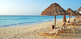 TravelAlka's tweet photo. Are you looking for a cheap #holidays #packages in Goa? Alka Travels provides the best offers for you - https://t.co/Lbatn1XmXk
#Goapackage #holidaypackage #hotels #travel https://t.co/7PpvBJ7zkt